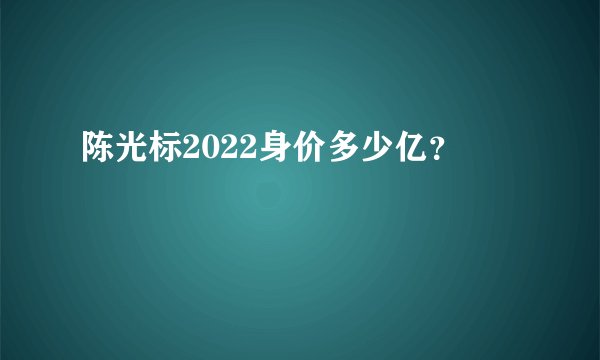 陈光标2022身价多少亿？