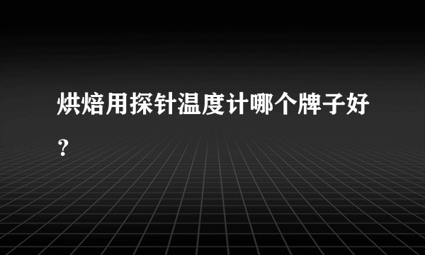 烘焙用探针温度计哪个牌子好？