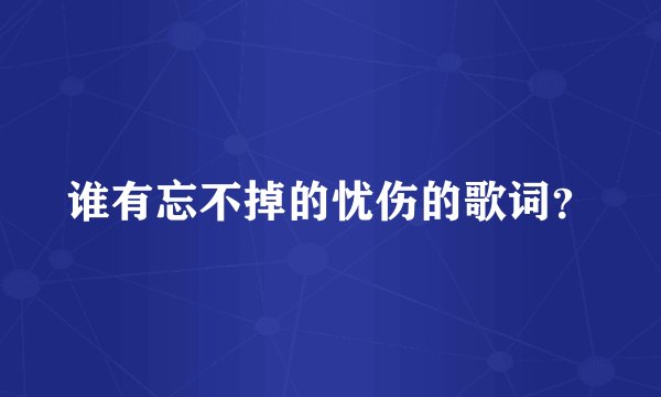 谁有忘不掉的忧伤的歌词？