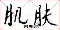 肌肤