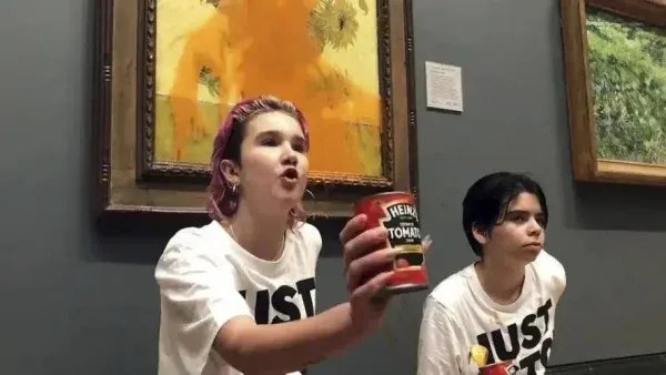 梵高名画《向日葵》被环保人士泼番茄汁,他们为何会有如此过激之举?