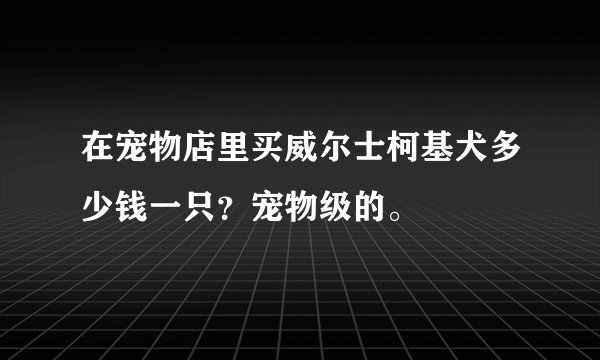 在宠物店里买威尔士柯基犬多少钱一只？宠物级的。