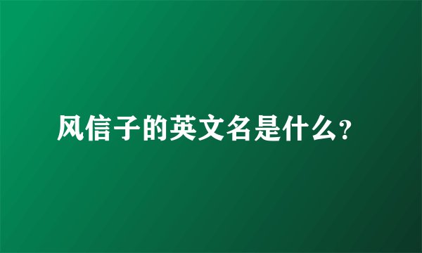 风信子的英文名是什么？