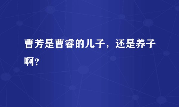 曹芳是曹睿的儿子，还是养子啊？