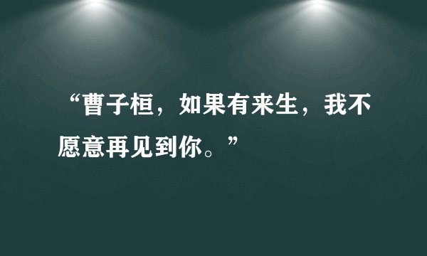 “曹子桓，如果有来生，我不愿意再见到你。”