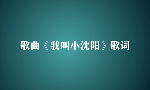 歌曲《我叫小沈阳》歌词