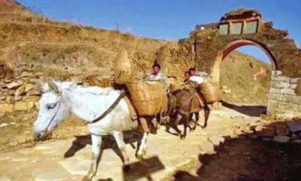 茶马古道是什么由来？