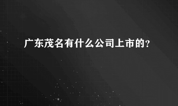 广东茂名有什么公司上市的？