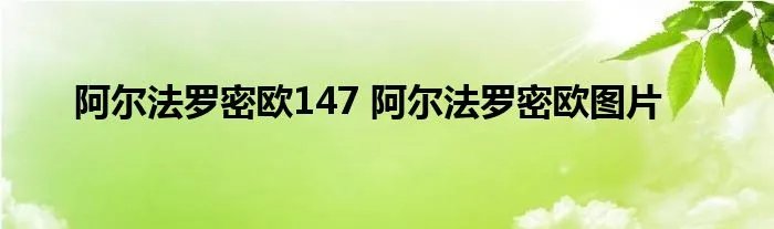 阿尔法罗密欧147 阿尔法罗密欧图片