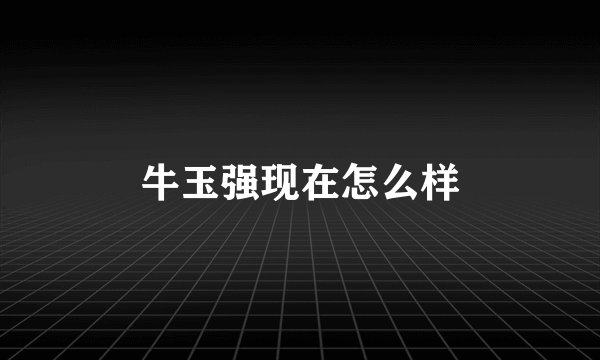 牛玉强现在怎么样