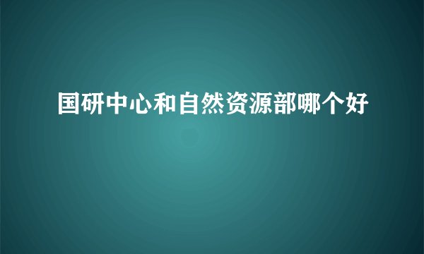 国研中心和自然资源部哪个好
