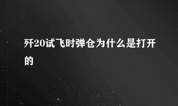 歼20试飞时弹仓为什么是打开的