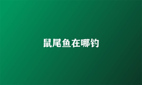 鼠尾鱼在哪钓