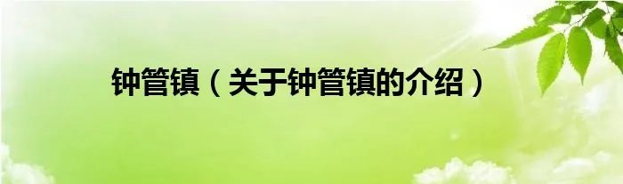 钟管镇（关于钟管镇的介绍）