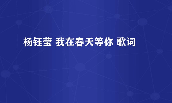 杨钰莹 我在春天等你 歌词