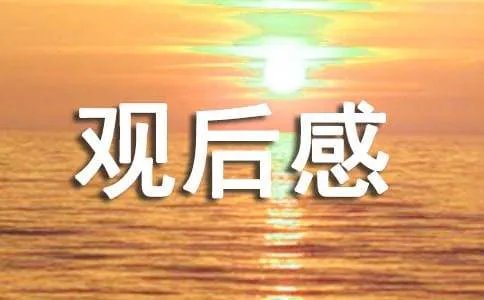 小孩不笨观后感