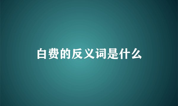 白费的反义词是什么