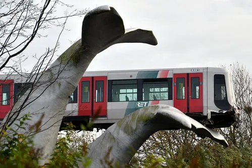 荷兰轻轨冲出轨道被鲸鱼雕像接住,这是有多幸运?