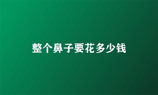 整个鼻子要花多少钱