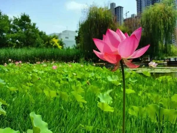 河北金融学院怎么样