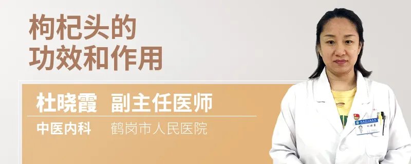 枸杞头的功效和作用