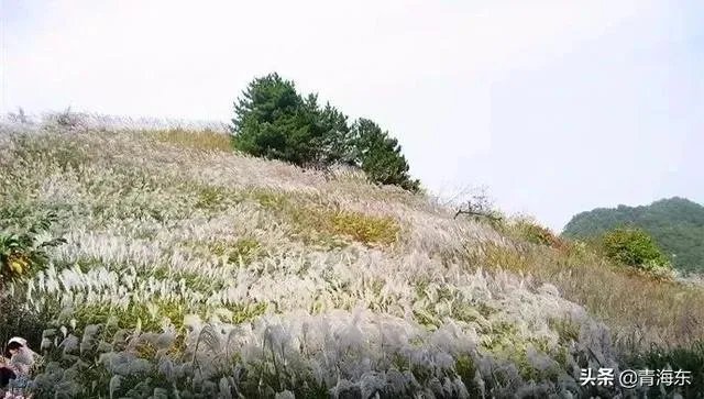 西安周边景点推荐几个？