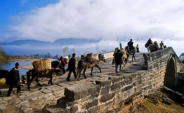 茶马古道是什么由来？