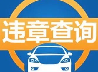 只输入车牌号查违章，输入车牌号查询违章