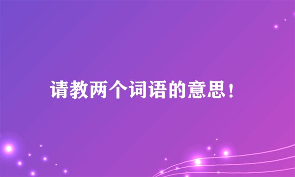 请教两个词语的意思！