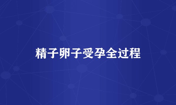 精子卵子受孕全过程