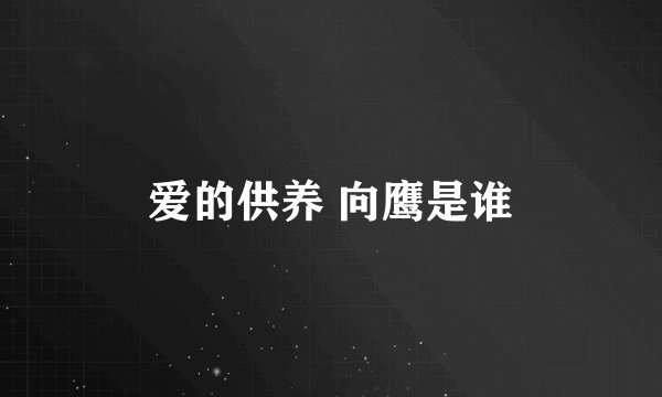 爱的供养 向鹰是谁