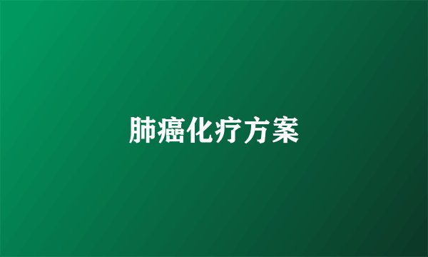 肺癌化疗方案