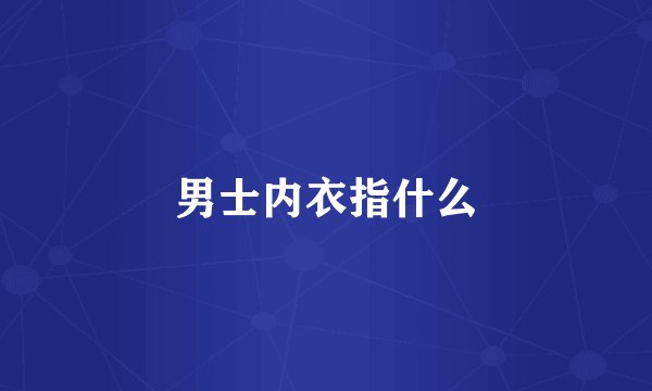 男士内衣指什么