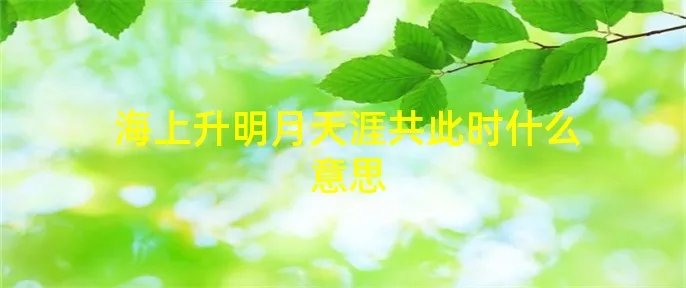 海上升明月天涯共此时什么意思