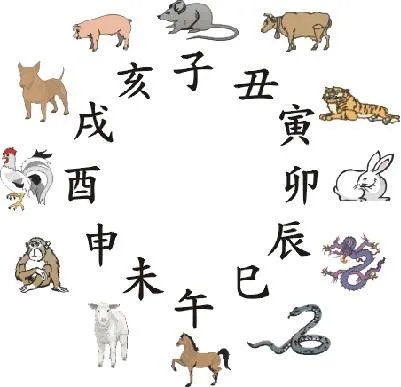 2021十二生肖顺序图?