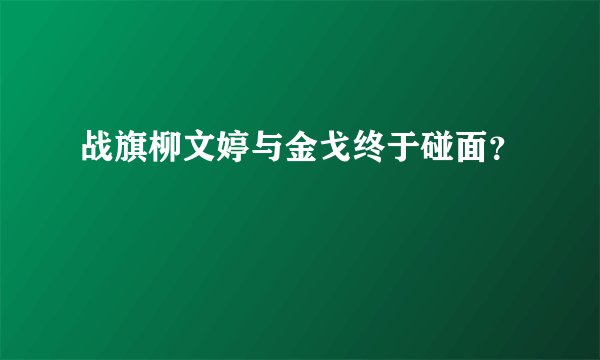 战旗柳文婷与金戈终于碰面？