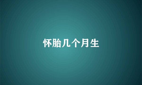 怀胎几个月生