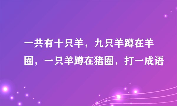 一共有十只羊，九只羊蹲在羊圈，一只羊蹲在猪圈，打一成语