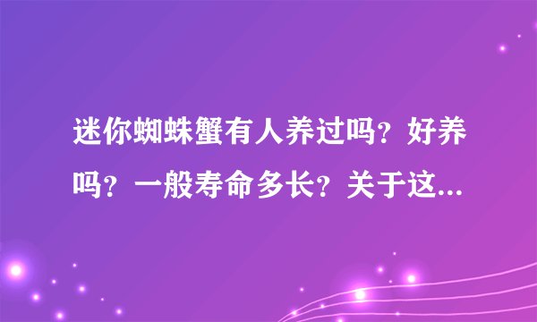 迷你蜘蛛蟹有人养过吗？好养吗？一般寿命多长？关于这种螃蟹的资料几乎没有，只知道可以深水，放草缸里不？