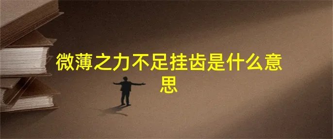 微薄之力不足挂齿是什么意思