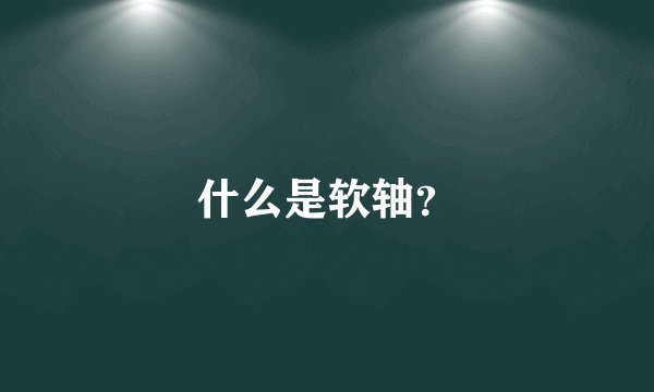 什么是软轴？