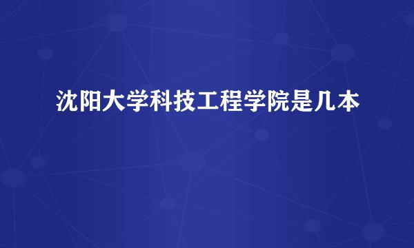 沈阳大学科技工程学院是几本