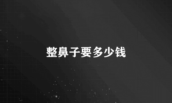 整鼻子要多少钱