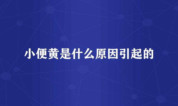 小便黄是什么原因引起的