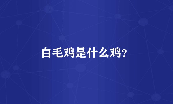 白毛鸡是什么鸡？