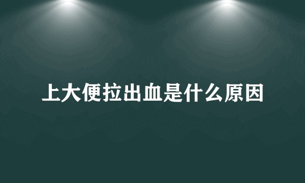 上大便拉出血是什么原因
