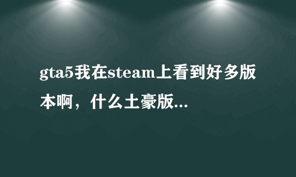 gta5我在steam上看到好多版本啊，什么土豪版，经济版，什么的到底有什么区别吗。。