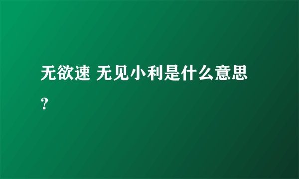 无欲速 无见小利是什么意思？