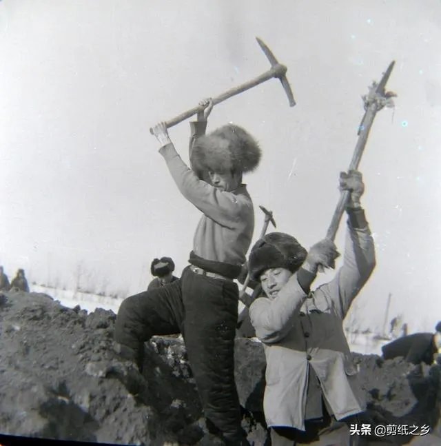 “庄稼一枝花,全靠肥当家”有没有道理?