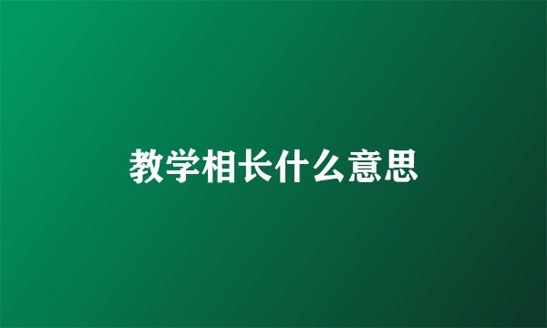 教学相长什么意思